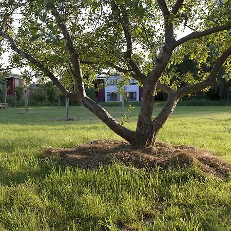 Hotel Basiskulturfabrik Oeko-hotel Neustrelitz